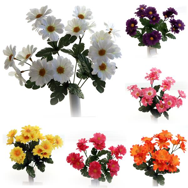 Daisy Bush