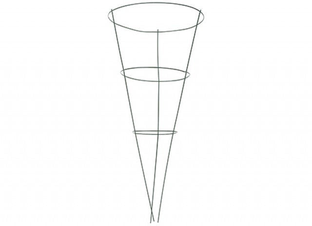 Plant Support