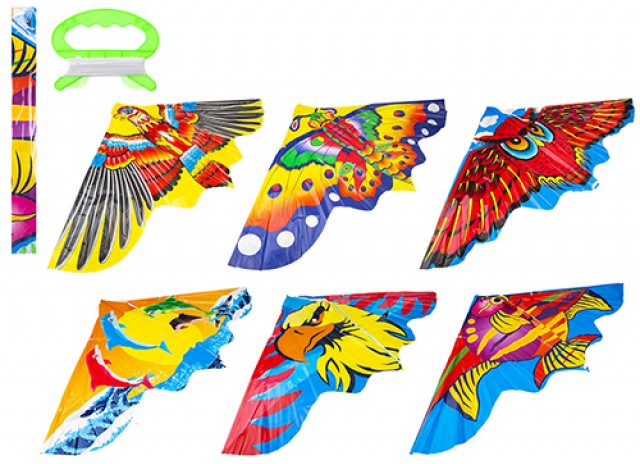 Kite