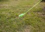 Glow in the Dark Rock Pegs