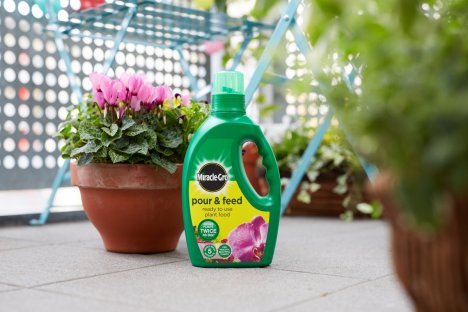 MIRACLE GRO®Pour and Feed Ready To Use 1L