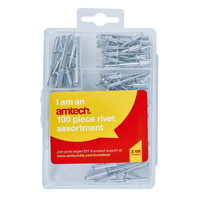 Rivets Assortes 100pc