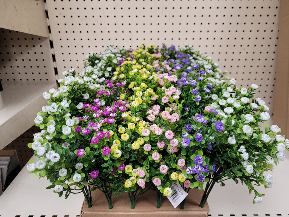 Gypsophila Bush Assorted Colours - 5 for £10