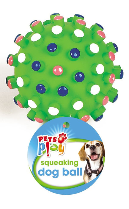 Squeaky Dog Ball
