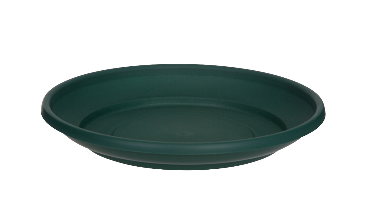 Venetian Round Saucer Green