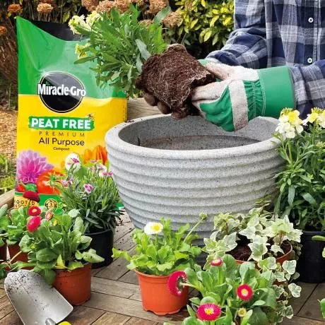 Miracle gro peat free Compost 40l