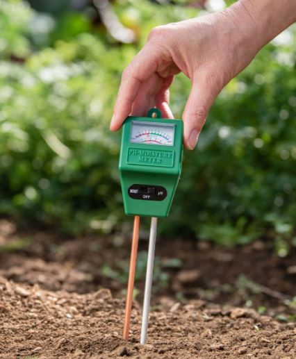 Combination pH & Moisture Meter