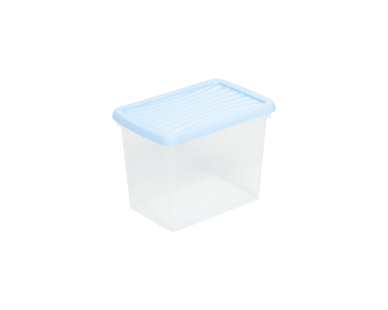Box & Lid