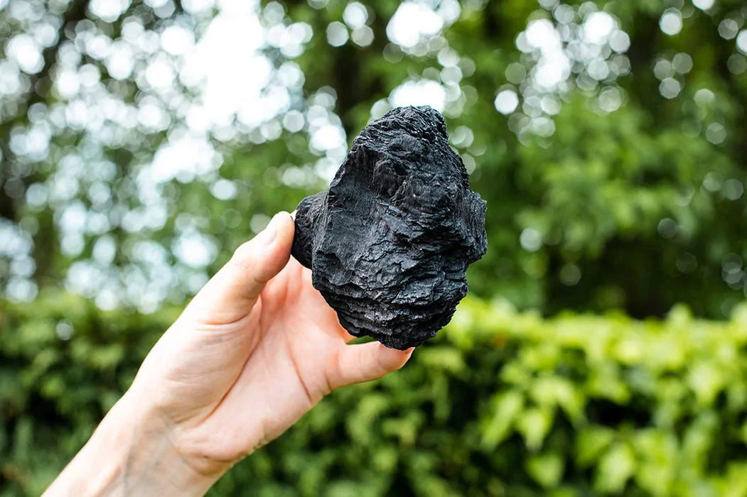 Charcoal 4kg 2 for £18