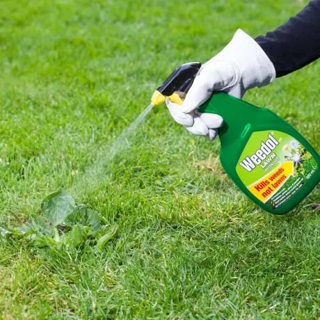 Weedol® Gun!™ Lawn Weedkiller 800ml