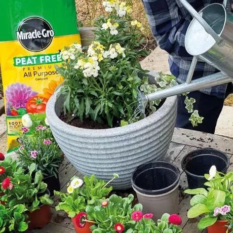Miracle gro peat free Compost 40l