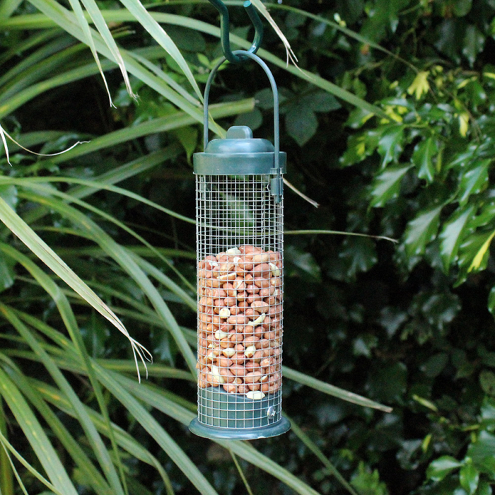 Nut Feeder