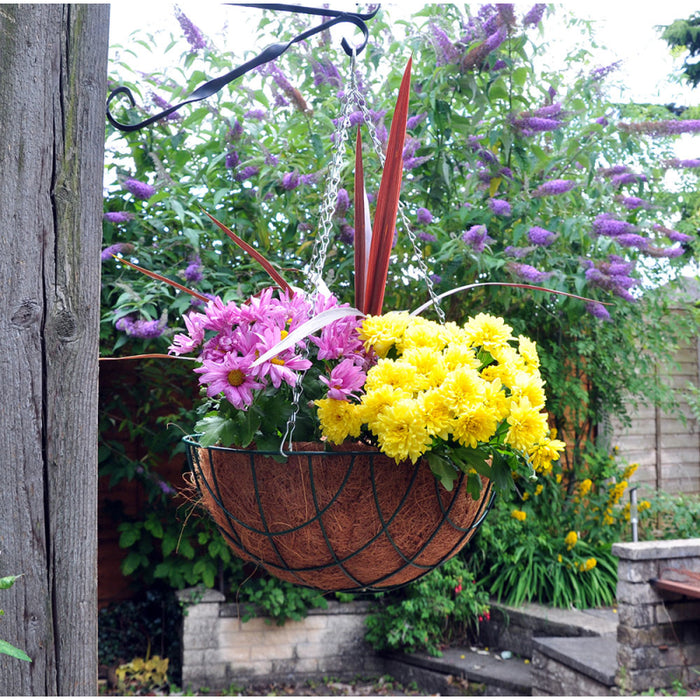 Hanging Basket