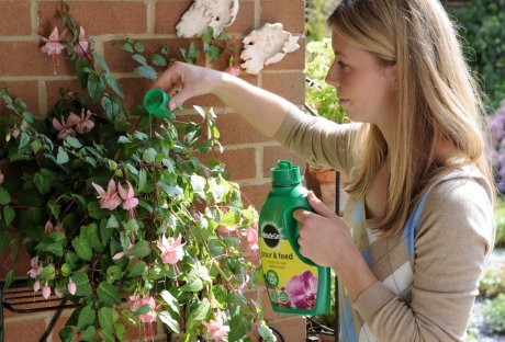 MIRACLE GRO®Pour and Feed Ready To Use 1L