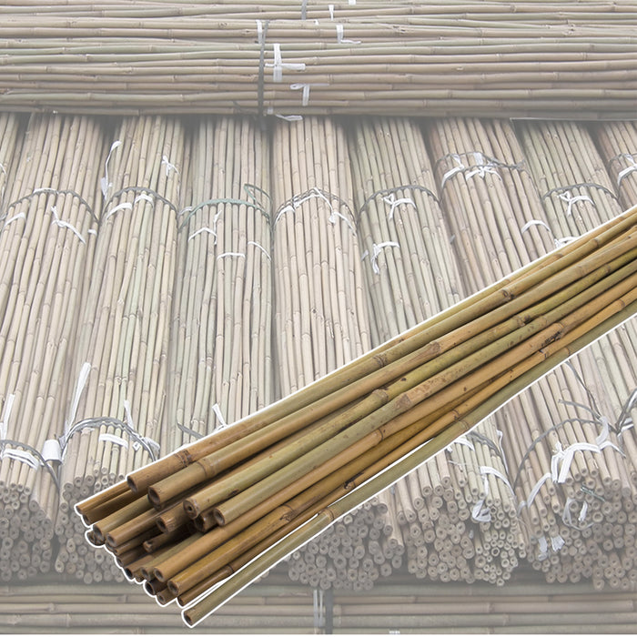 10PK 8FT Bamboo Canes