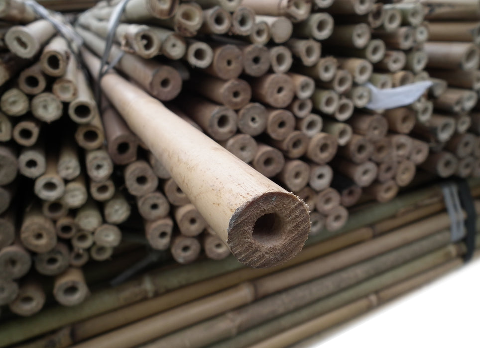 10PK 8FT Bamboo Canes