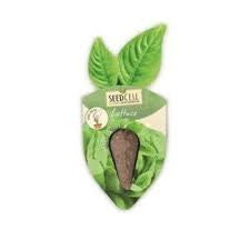 SeedCell Single - Spinach  6 for £5