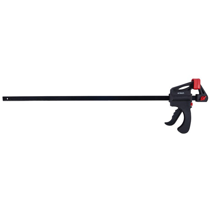 Ratchet Clamp 24'