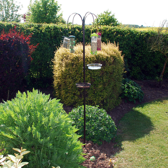 Bird Feeding Station