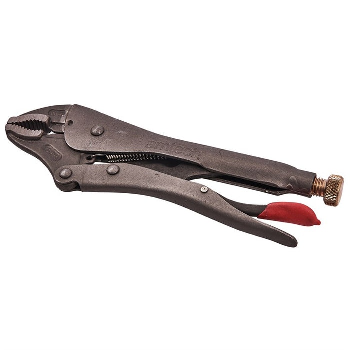 Curved Jaw Locking Pliers 10"