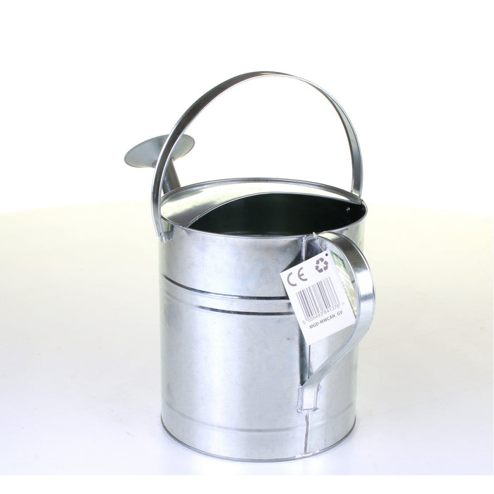 Galvanised Watering Can - 10L