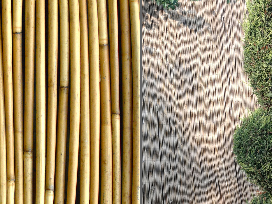 Reed Screening — JMart Warehouse