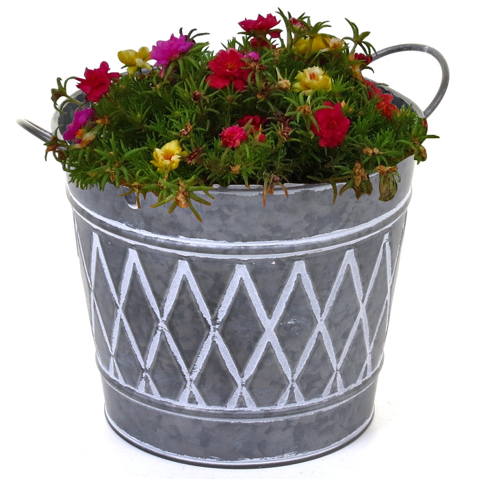 Galvanised Round Planters