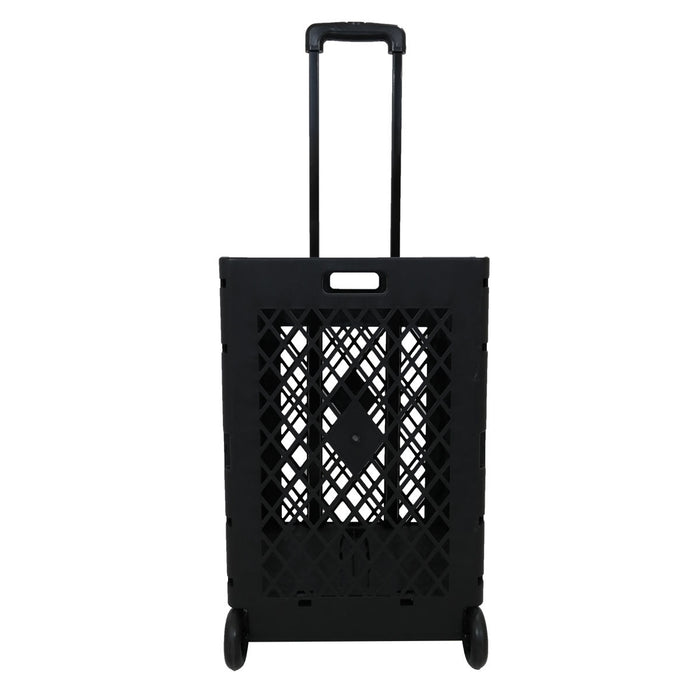 Large Shopping Cart