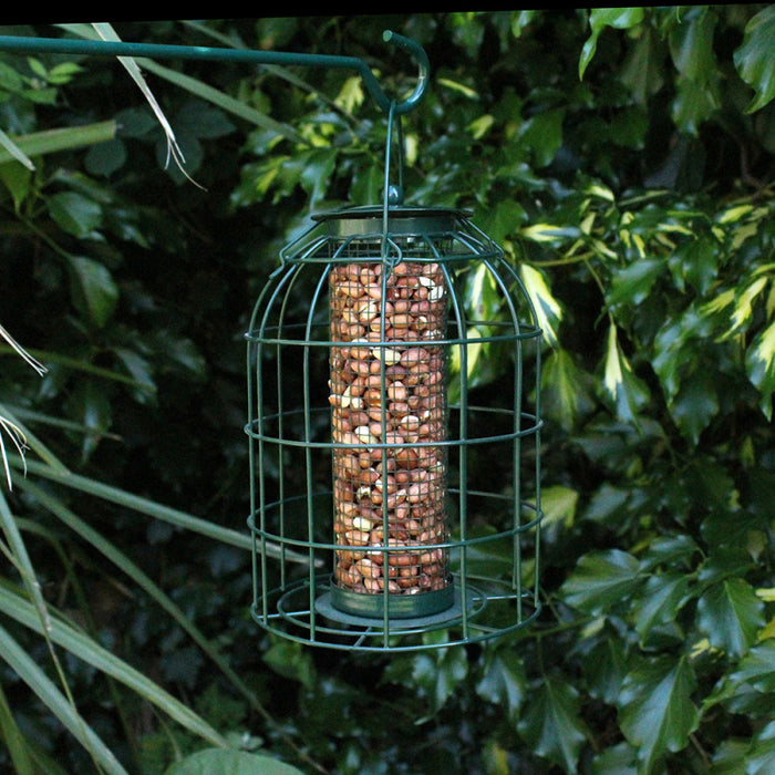 Nut Feeder