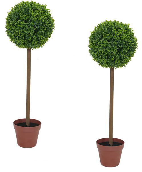 2x Topiary Ball Trees