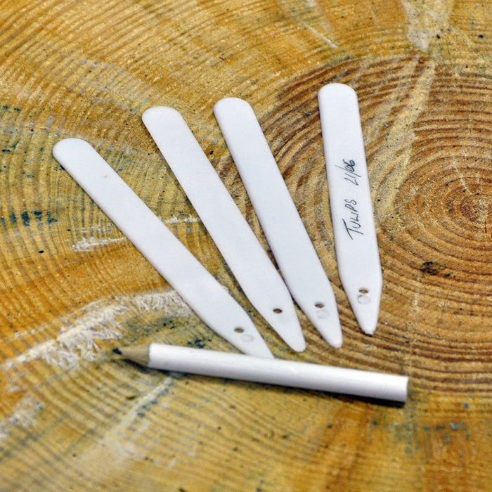 Plant Labels and Pencil 50