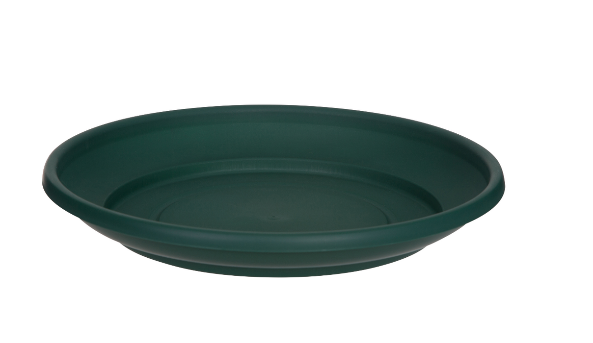 Venetian Round Saucer Green
