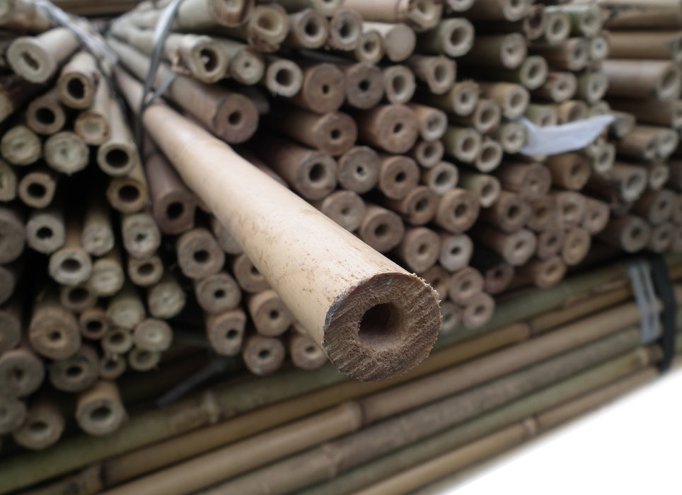 10PK 6FT Bamboo Canes