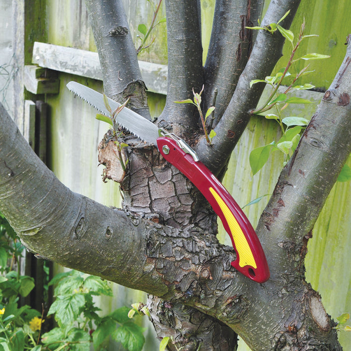 Pruning Saw