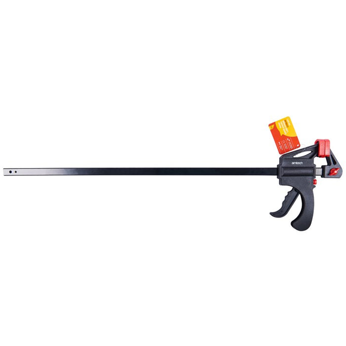Ratchet Clamp 24'
