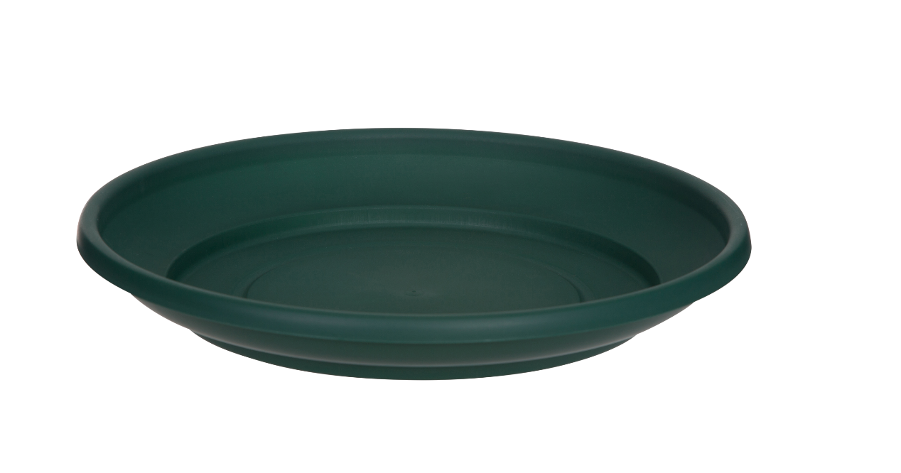 Venetian Round Saucer Green