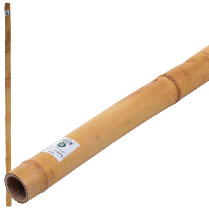6FT Large Bamboo Pole