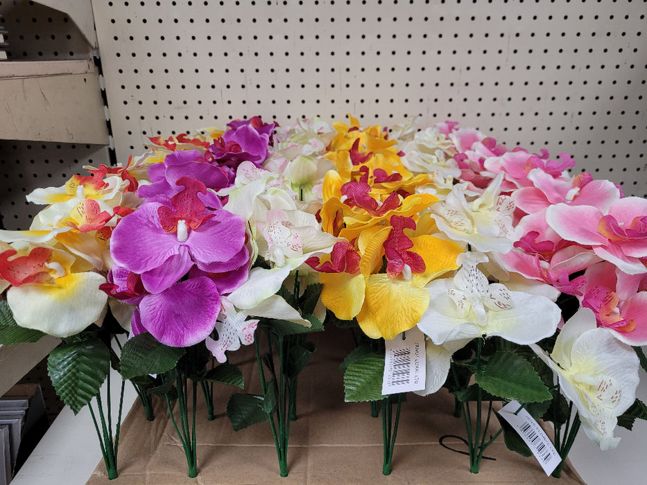 Orchid Bush - 5 for £10
