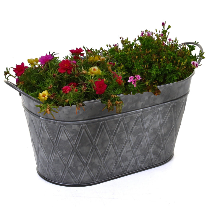 Galvanised Oval Planters