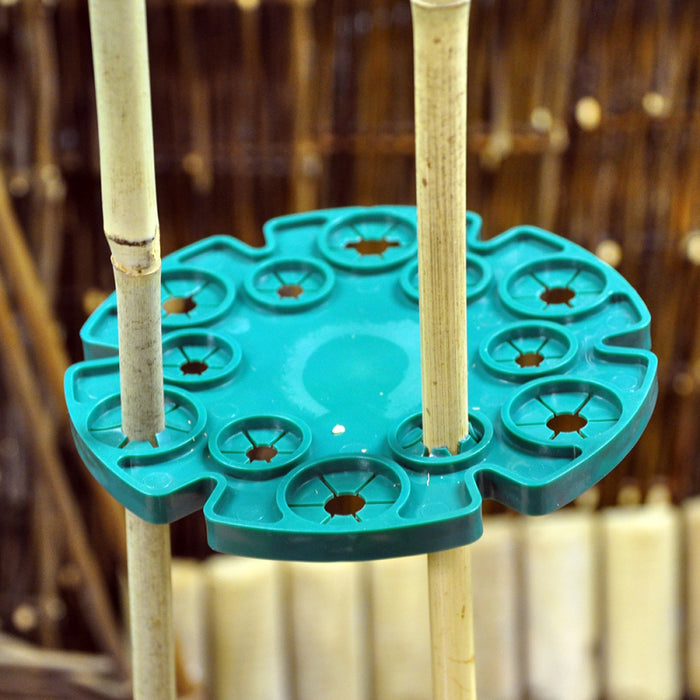 Cane Holder