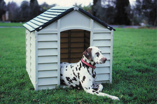 Plastic Dog Kennel