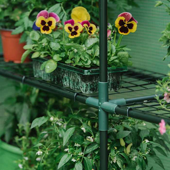 Walk-In Growhouse