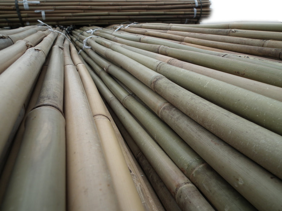 10PK 6FT Bamboo Canes