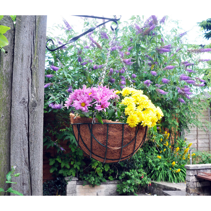 Hanging Basket