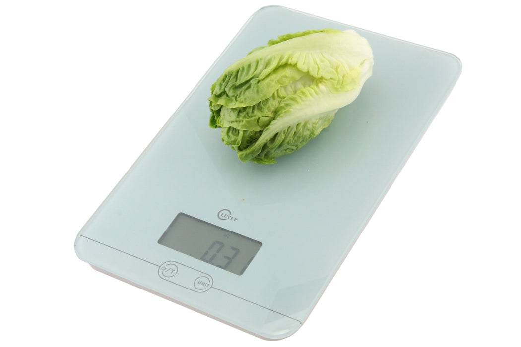 Digital Scale
