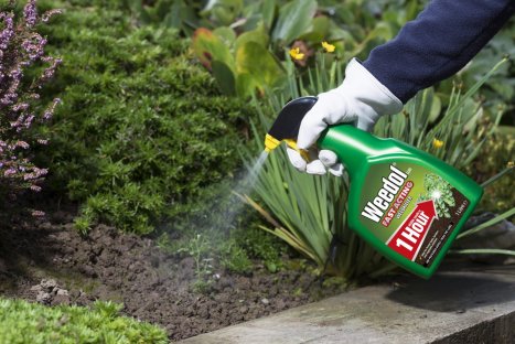 Weedol® Fast Acting Weedkiller 1L