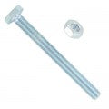 Hex Bolts & Nuts M8 X 100