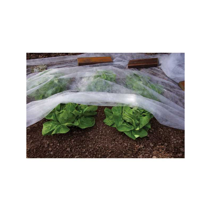 Frost Protection
