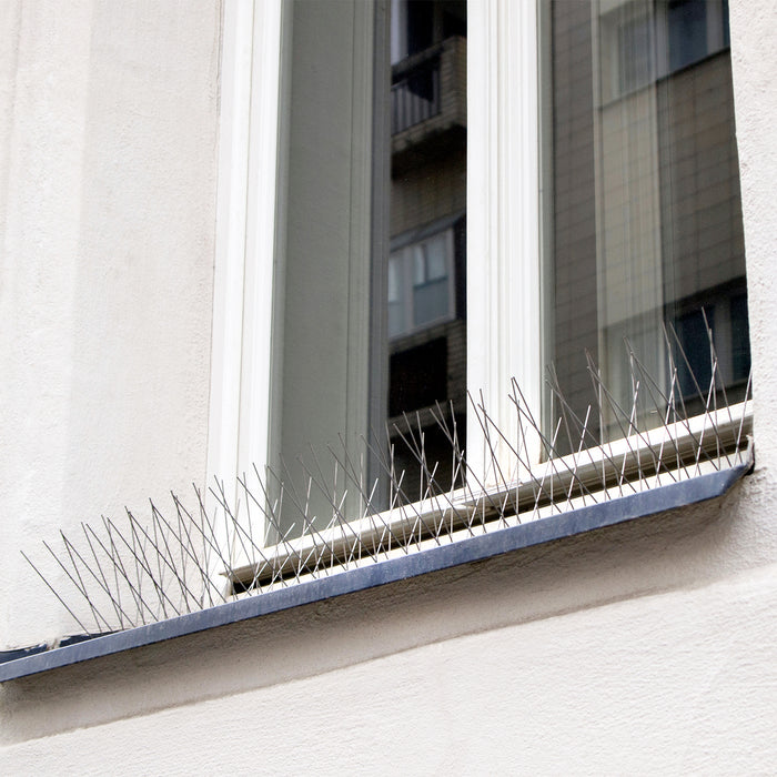 Bird Spikes Strip