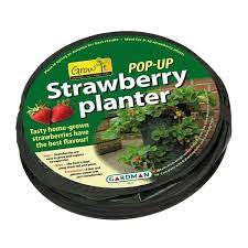 Pop Up Strawberry Planter